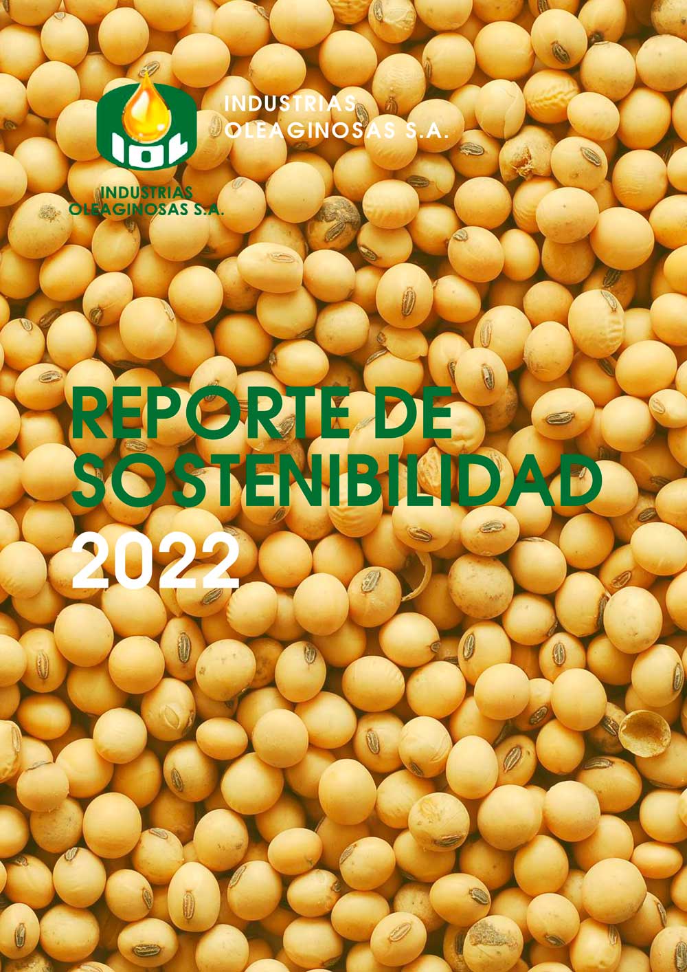 Reporte de Sostenibilidad 2022